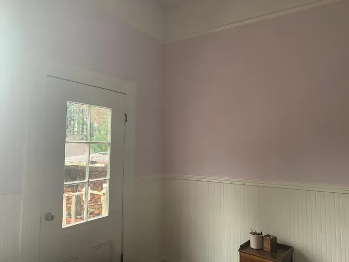 Pink walls with white wainscoting, a white door with glass panes, and a small wooden cabinet.