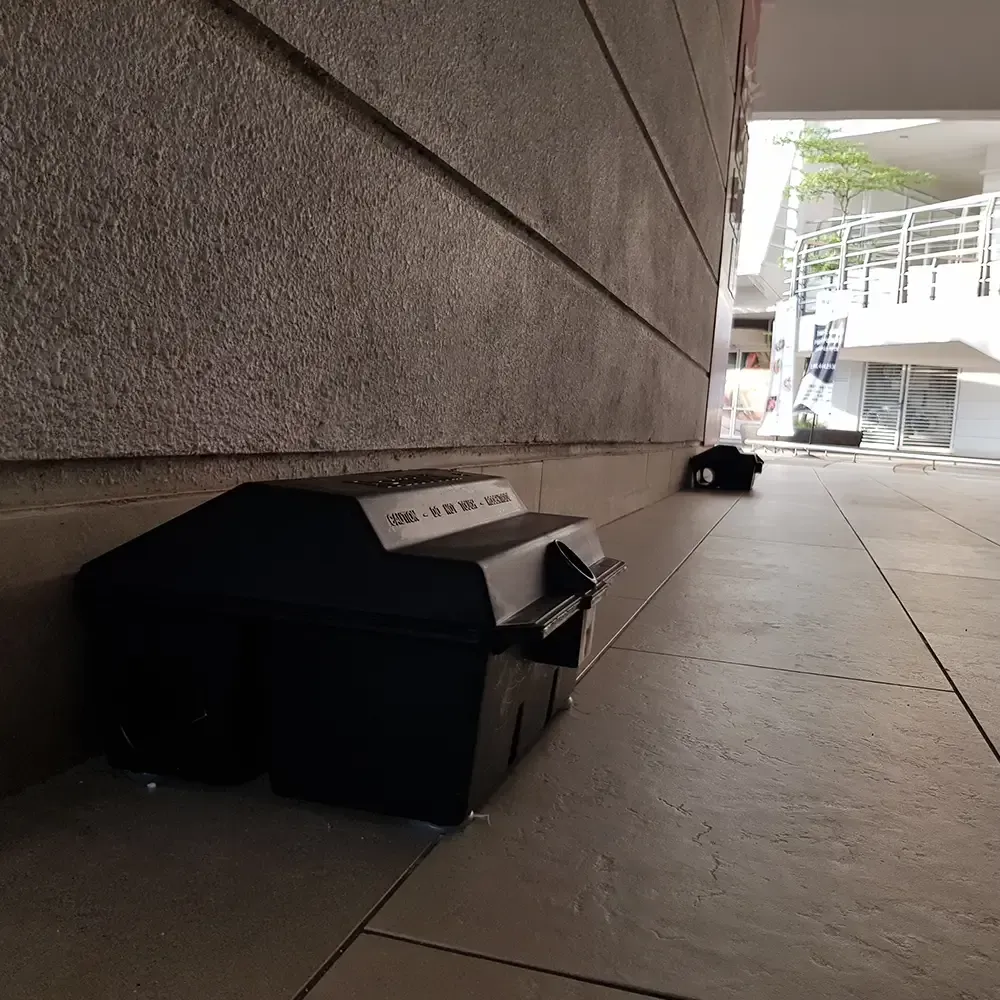 Pest Control  in Tallahassee