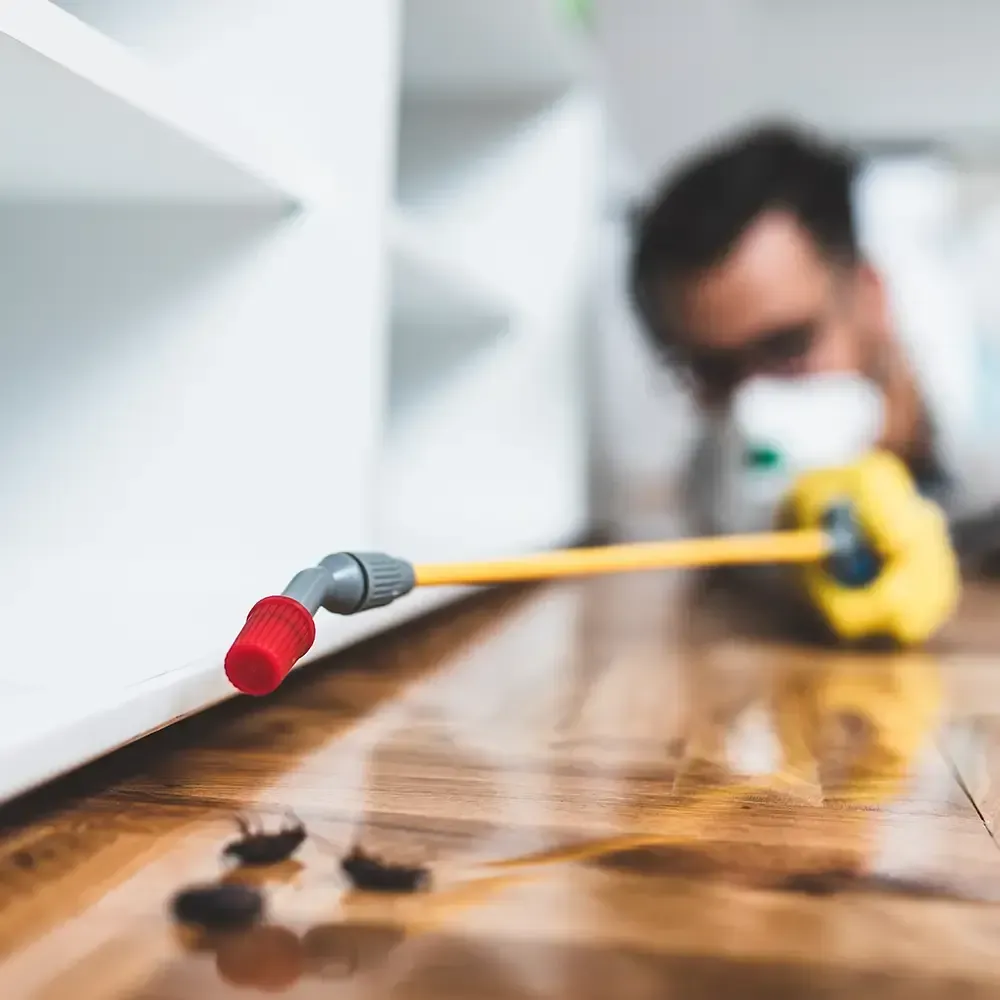 Tallahassee Pest Control