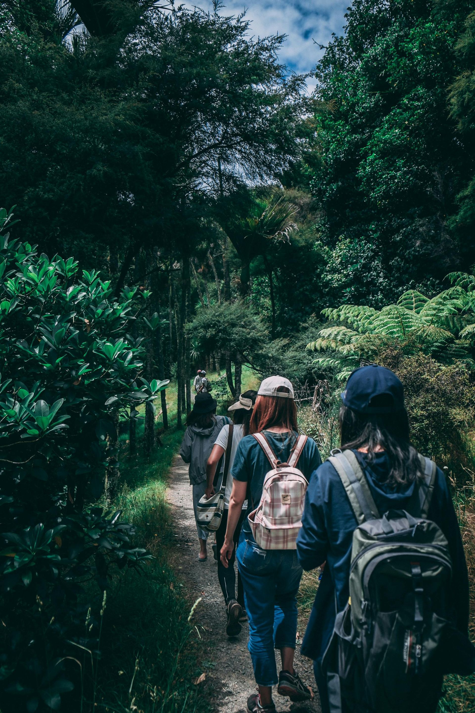 People hiking on a trail through lush green trees, wearing backpacks and caps.
