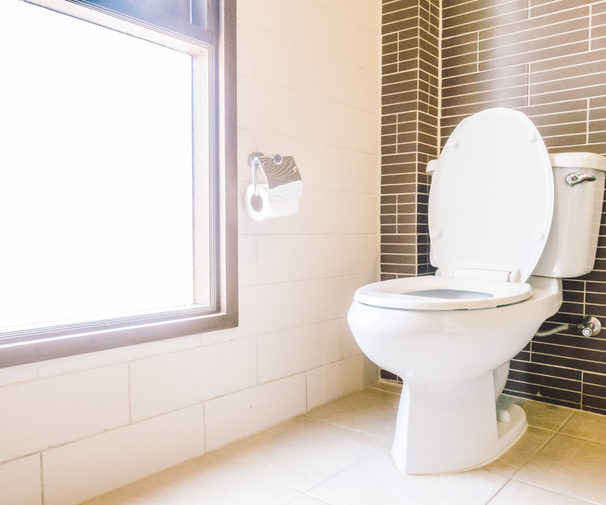 toilet in Thunder Bay