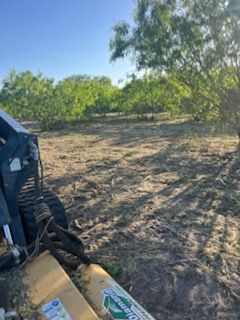 Harvesting machine in a dry orchard, with green trees and dirt ground under a blue sky.