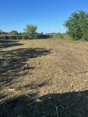 Dry, recently cleared field with cut grass, scattered trees, and a clear blue sky.