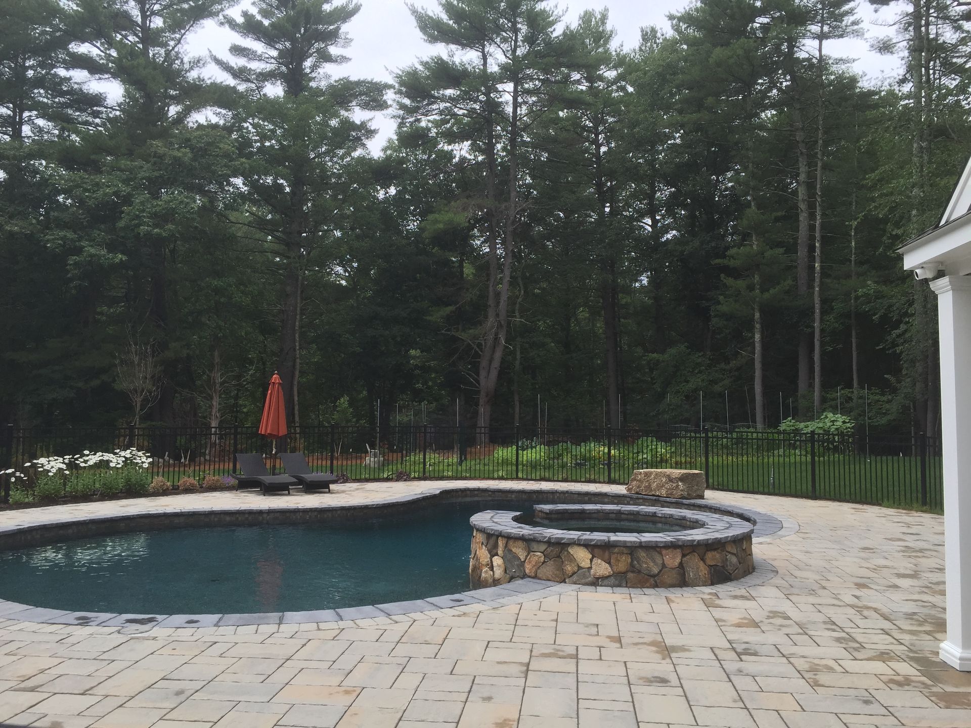 A large swimming pool surrounded by trees and a patio