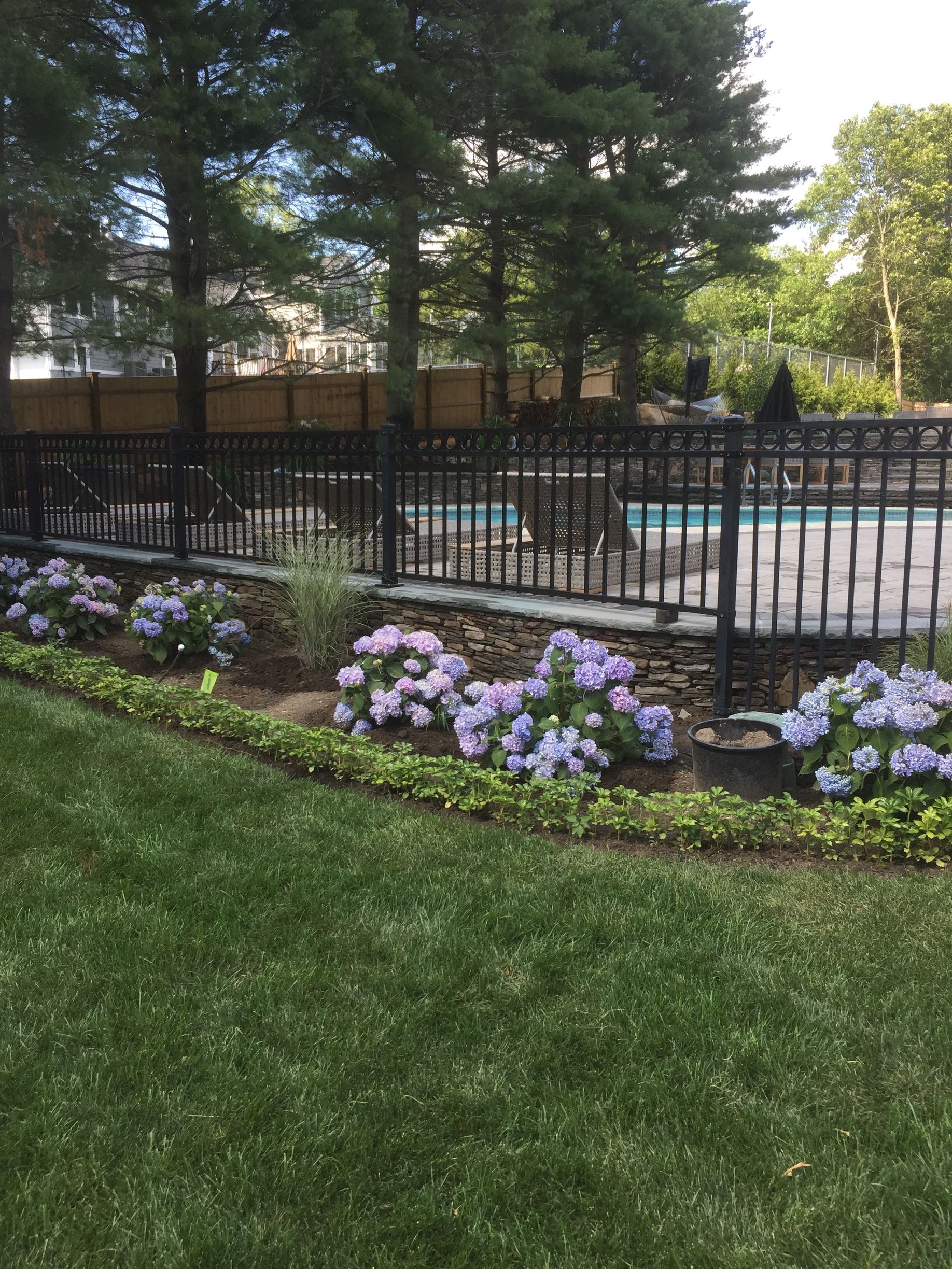 A fence surrounds a swimming pool with purple flowers in the foreground.