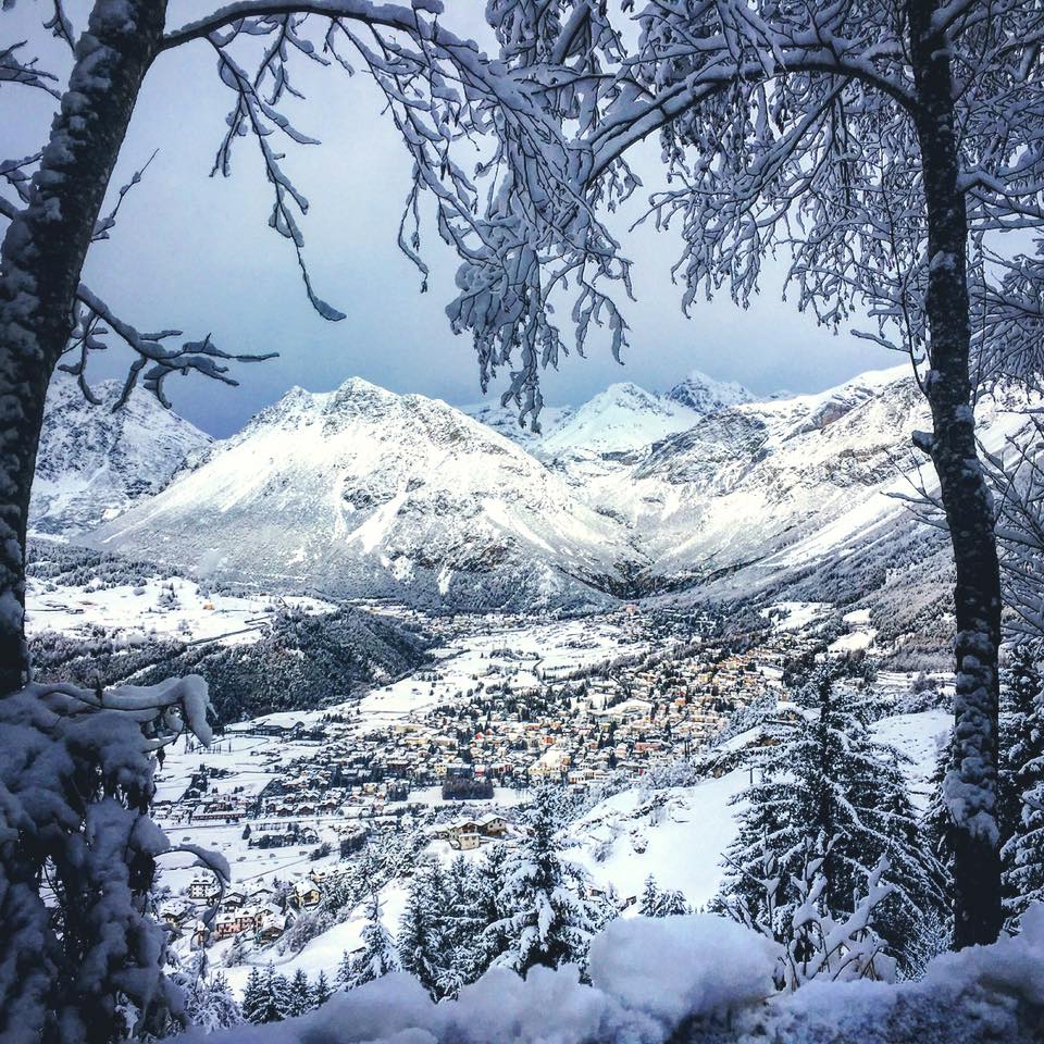 Un paesaggio innevato con alberi e montagne sullo sfondo