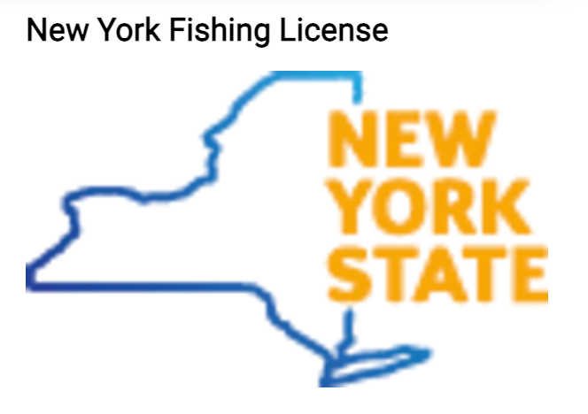 A blue and orange logo for the new york state fishing license