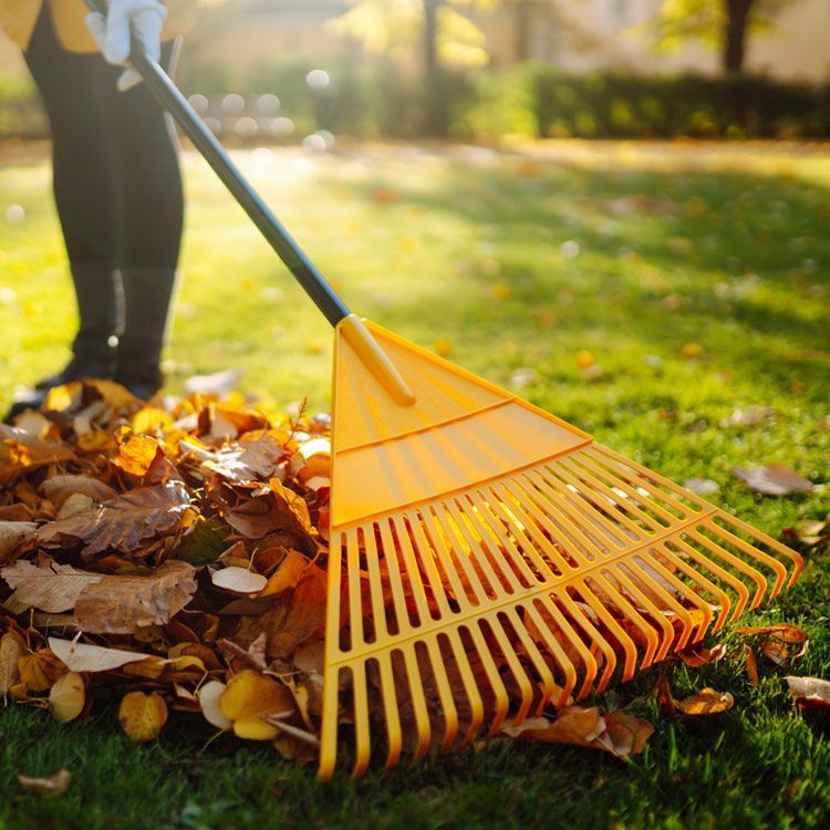 LIMPIEZA DE JARDINES