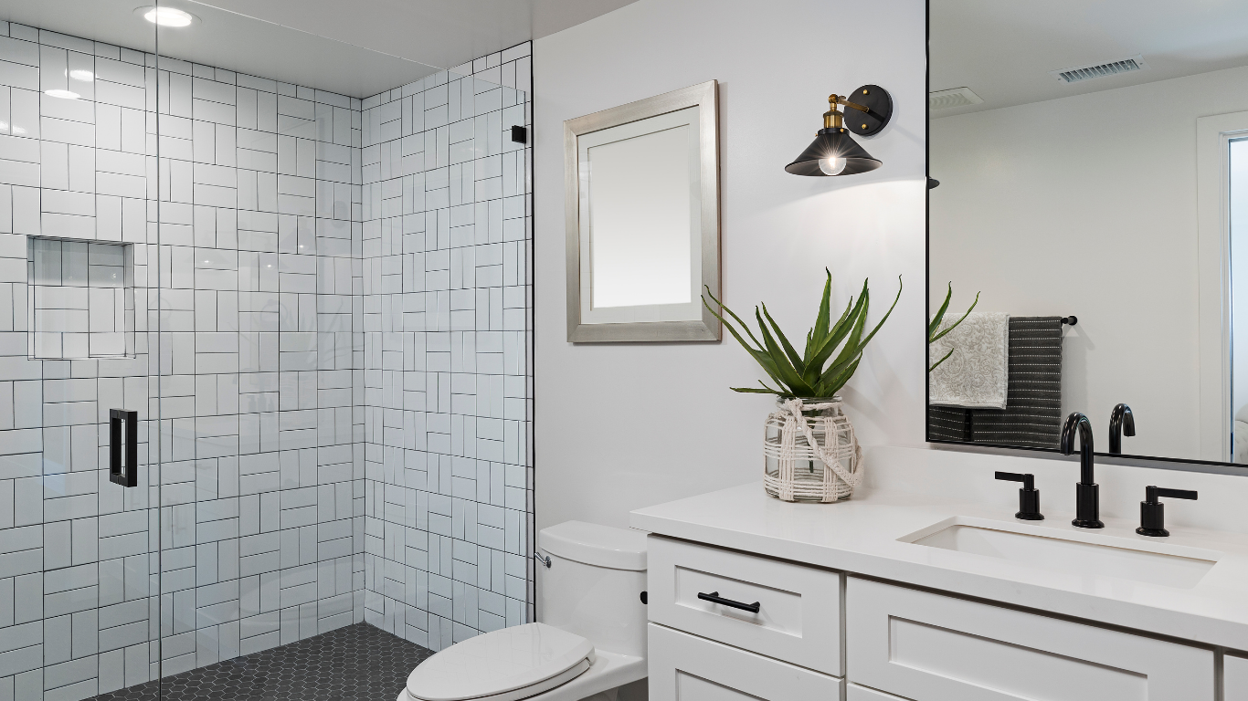 A modern bathroom featuring a geometric-patterned glass shower, white vanity, dark hardware, and a potted aloe plant.