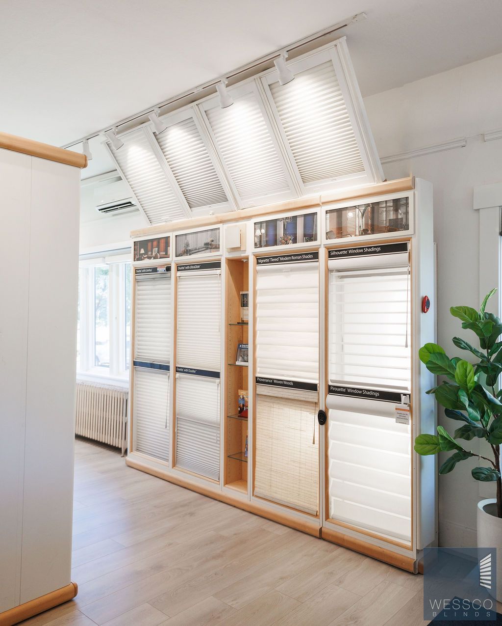Blinds and shades display in a showroom, arranged in panels. Overhead lighting and a potted plant are visible.