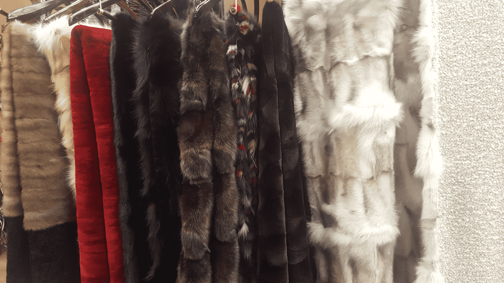 Fabric And Fur Rack David Appel Furrier The Real Fur Deal Beverly Hills California - Beverly Hills, CA- Contact David Appel Furs, Beverly Hills, Los Angeles, CA