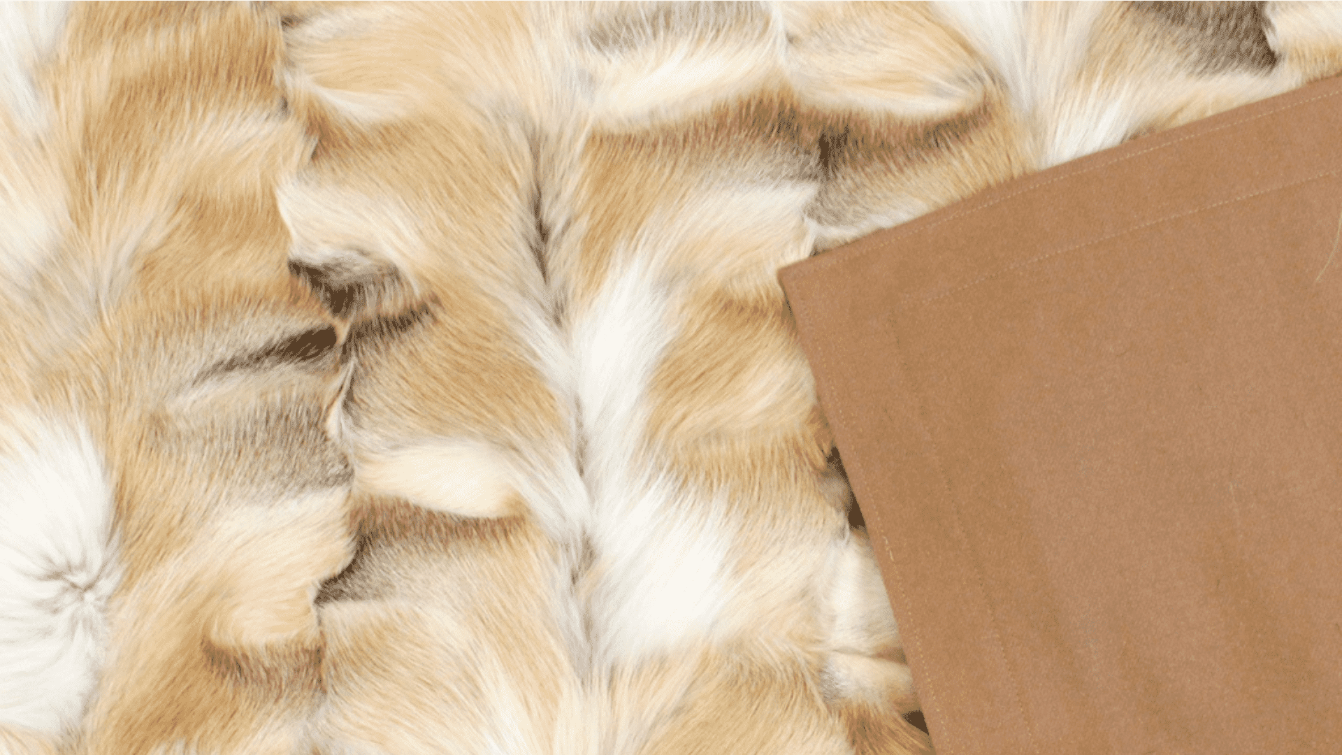GOLDEN ISLAND FOX FUR THROW BLANKET PILLOW CASHMERE INTERIOR DESIGN DAVID APPEL FURRIER THE REAL FUR DEAL LOS ANGELES BEVERLY HILLS - Beverly Hills, CA- Contact David Appel Furs, Beverly Hills, Los Angeles, CA