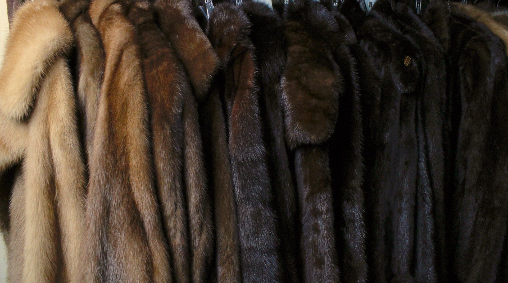 Fur coat storage in Beverly Hills, Los Angeles, California. Mink Coats stored in cold storage vault at David Appel Furs.