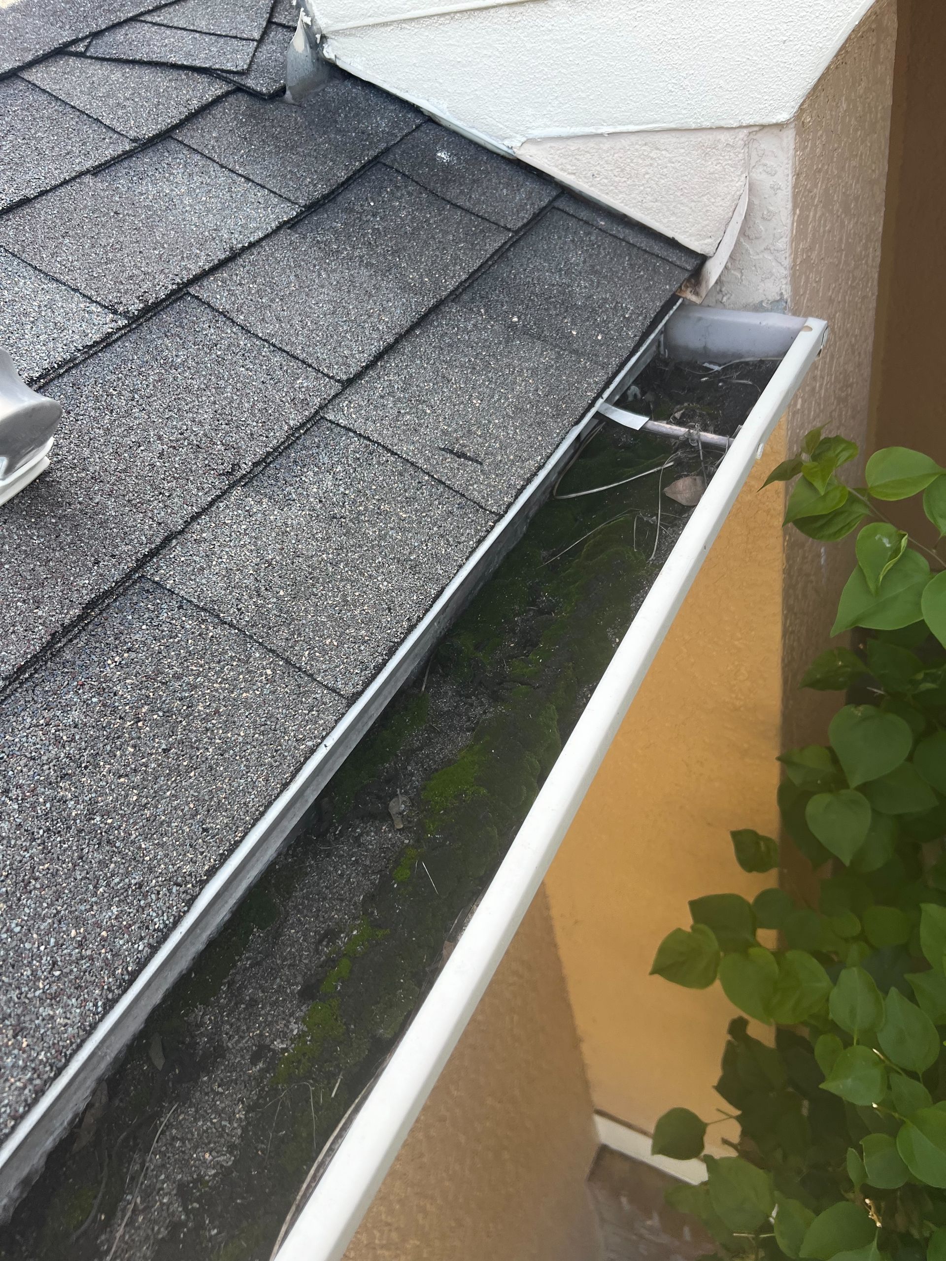 Gutter Cleaning Services Near Me