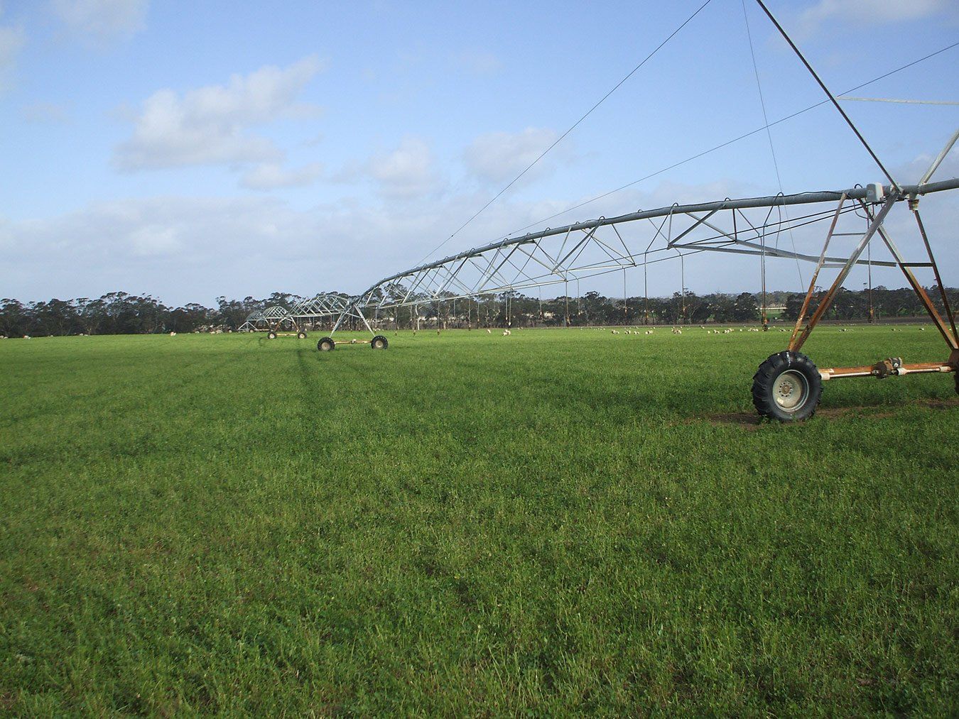 Irrigation machine grass field