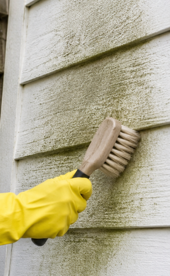 Person in yellow jacket scrubbing green siding with a brush