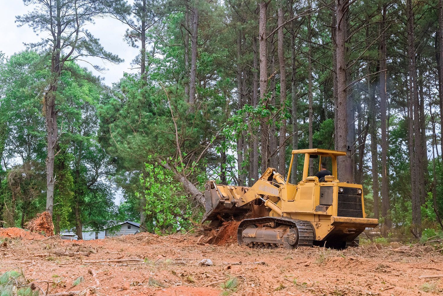 Tree Removal | Suffolk, VA | J & J Clearing & Demolition Inc