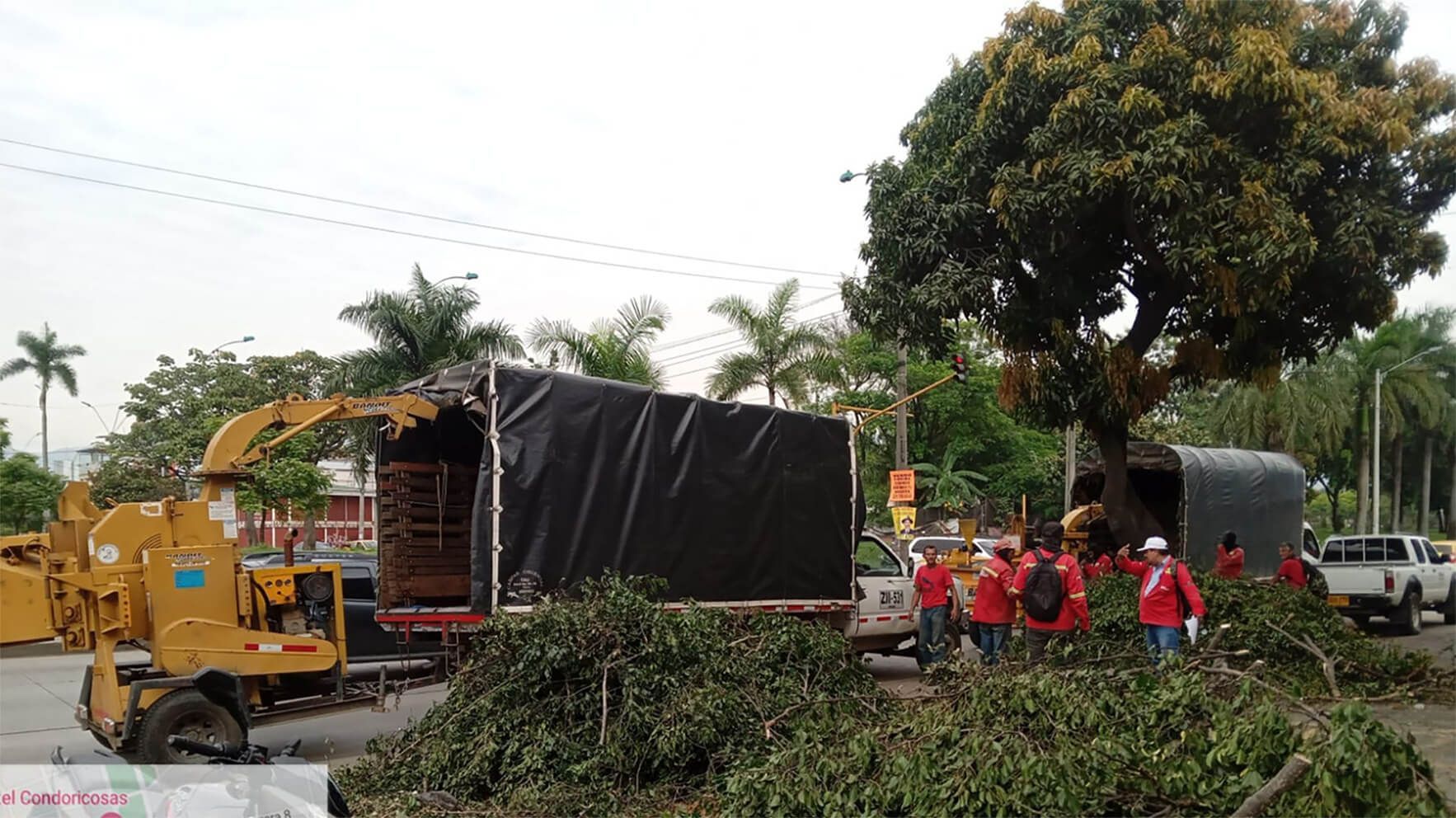 Inagan Ingeniería mantenimiento de zonas verdes
