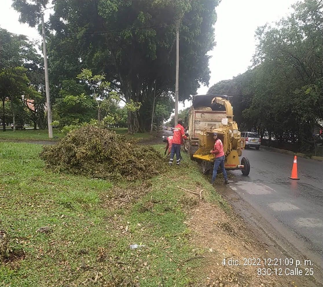 Inagan Ingeniería corte de poda de arboles