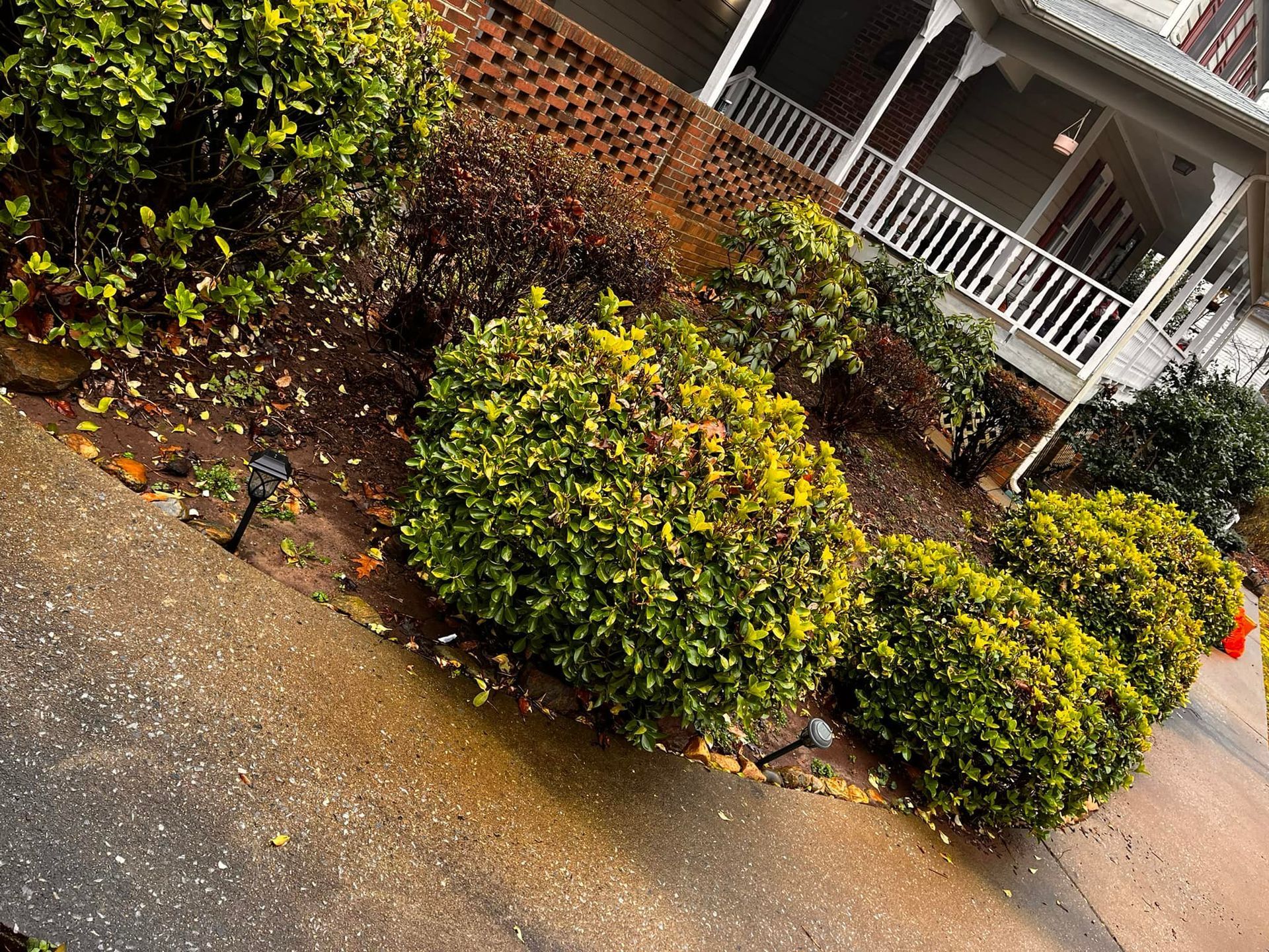 A house with a porch and a lot of bushes in front of it.