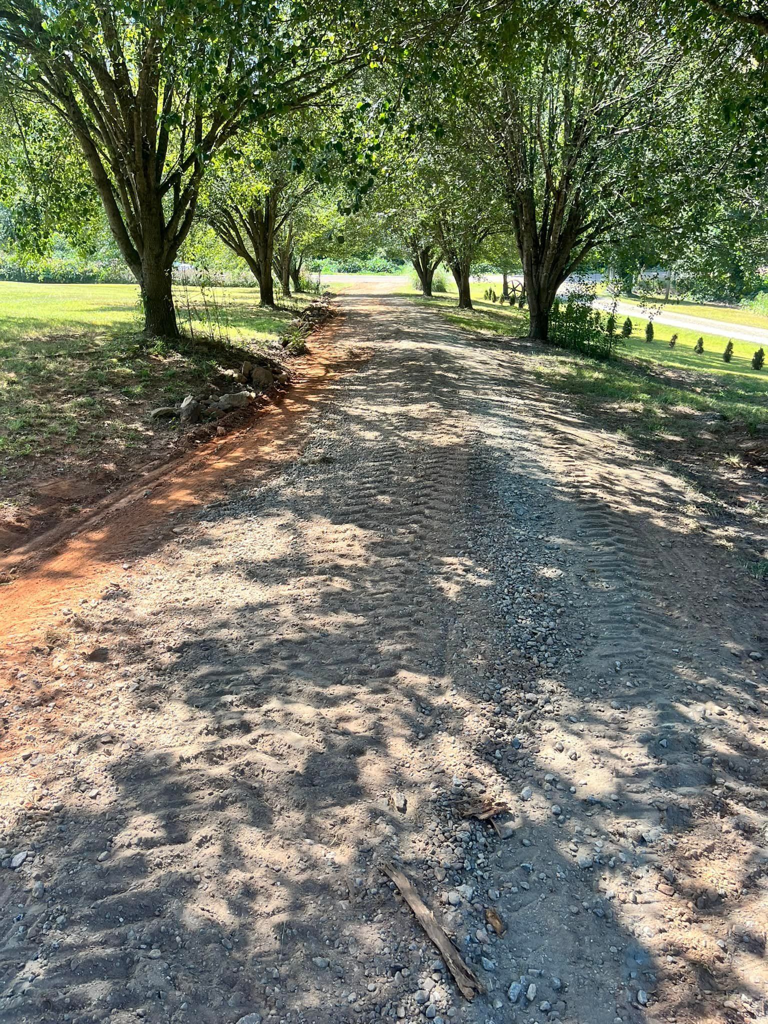 A dirt road going through a park with trees on both sides.