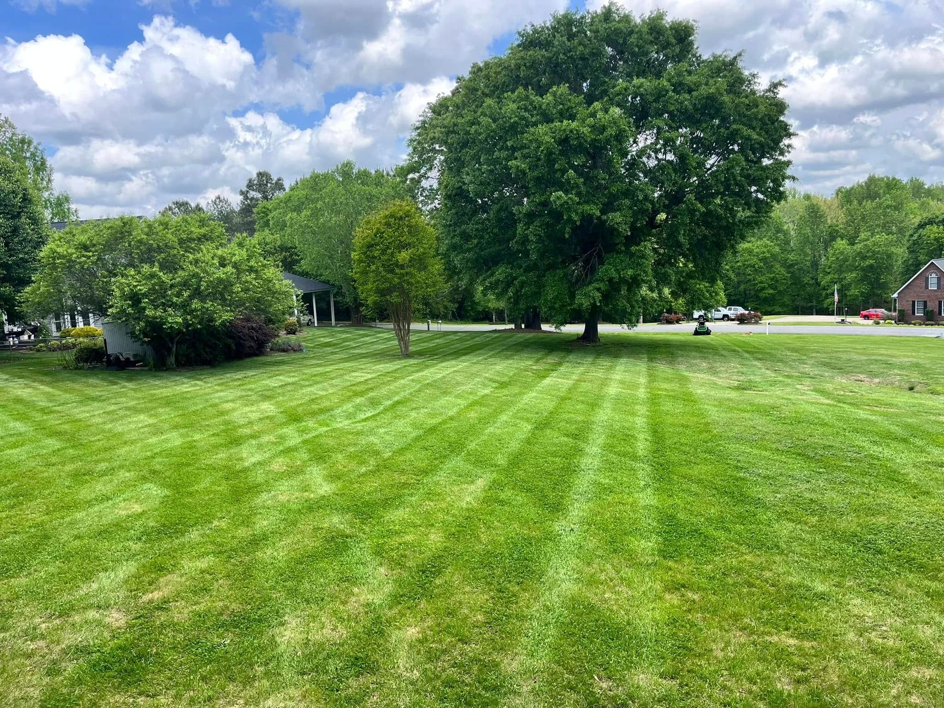 A lush green lawn with trees and a house in the background on a sunny day.