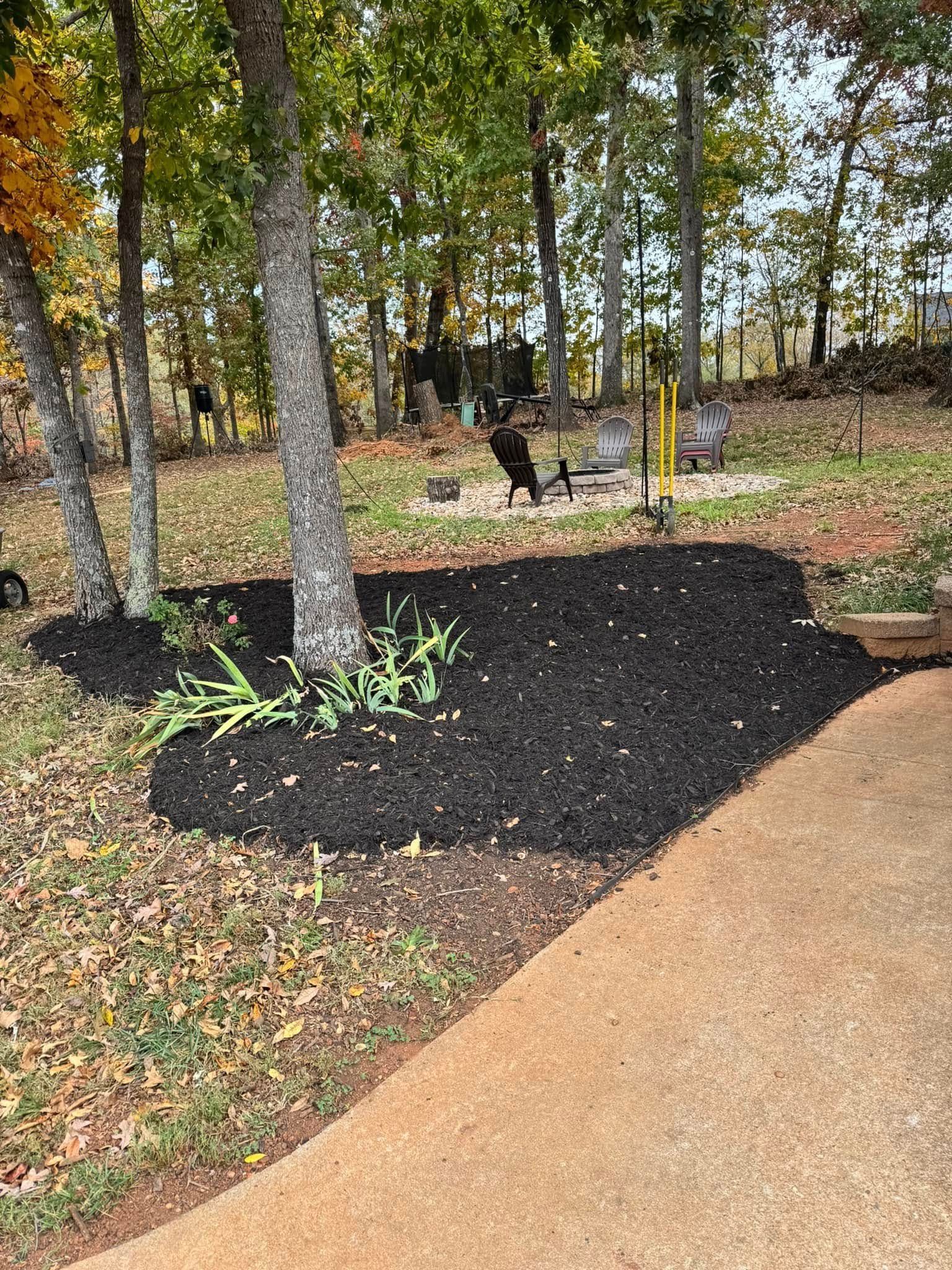 A driveway leading to a yard with trees and black mulch.