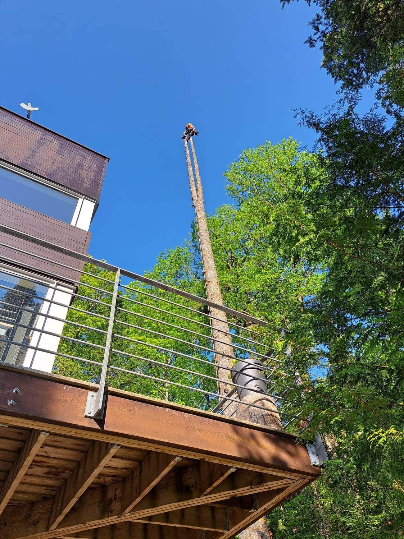 Terrasse en bois avec balustrade en métal, grand arbre avec une échelle contre lui, ciel bleu.