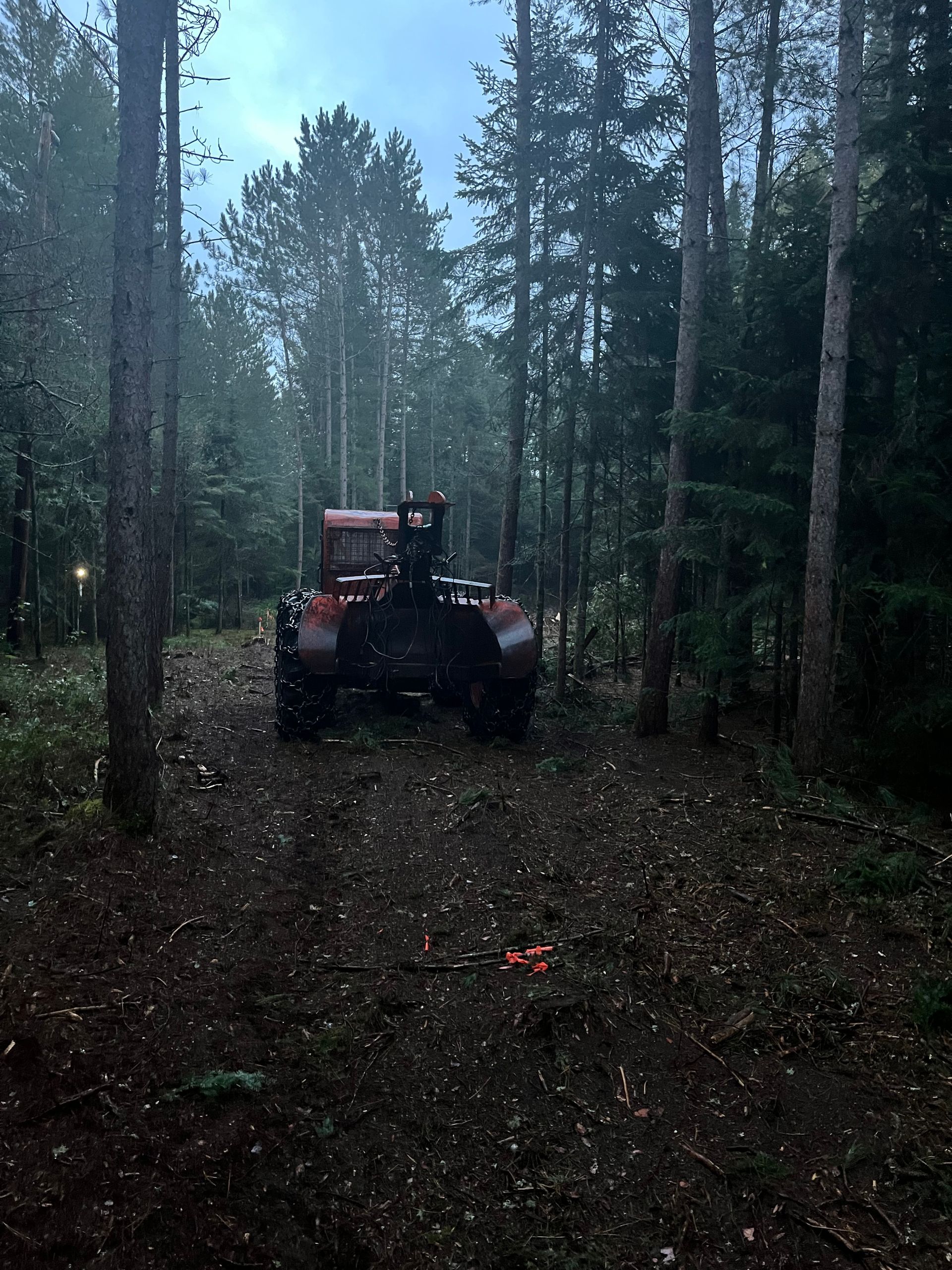 Tracteur ouvrant un chemin à travers une forêt sombre ; lumière du soir.