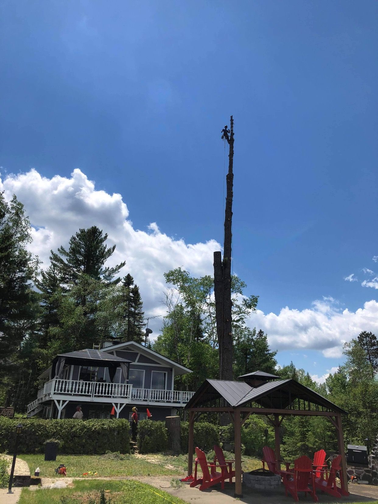 Une personne coupe un grand arbre près d'une maison et d'un belvédère sous un ciel bleu avec des nuages.