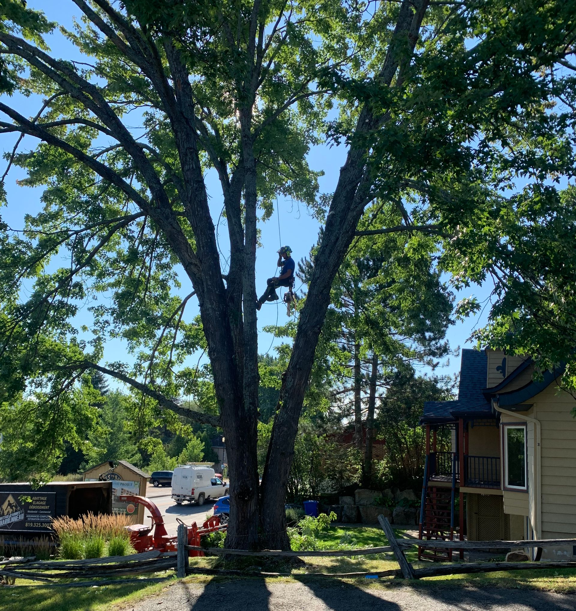 Le bras d'une machine forestière tenant des grumes dans une forêt. Le sol est bruni par les branches tombées.