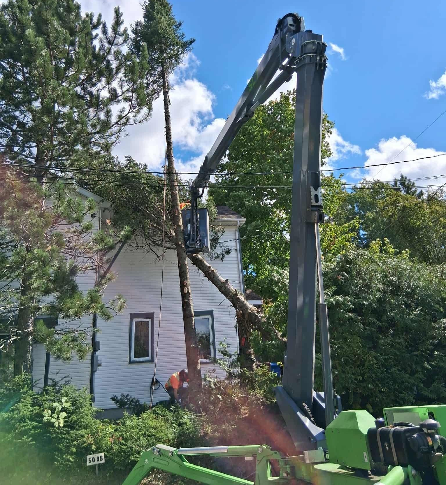 Un camion forestier rouge charge des grumes sur sa remorque à côté d'un tas de grumes coupées dans une forêt.