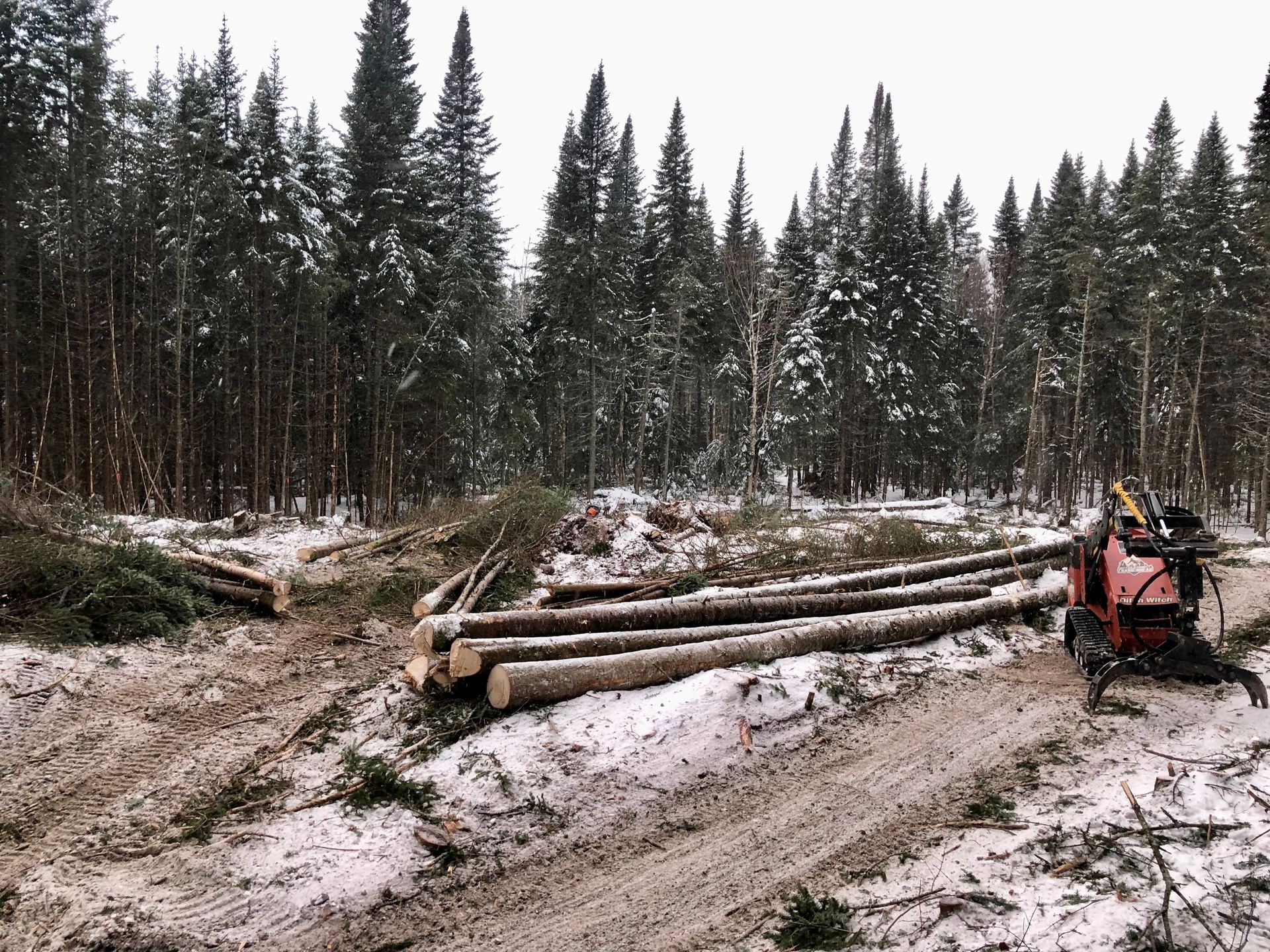 Scène d'exploitation forestière avec des bûches, de la neige et une moissonneuse rouge.