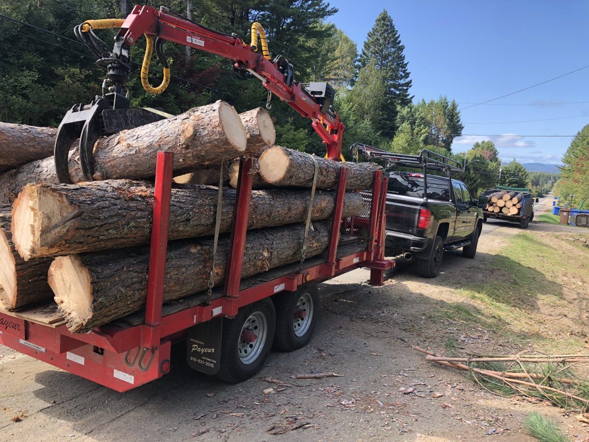 Un camion forestier chargeant des grumes avec une grue sur un chemin de terre.