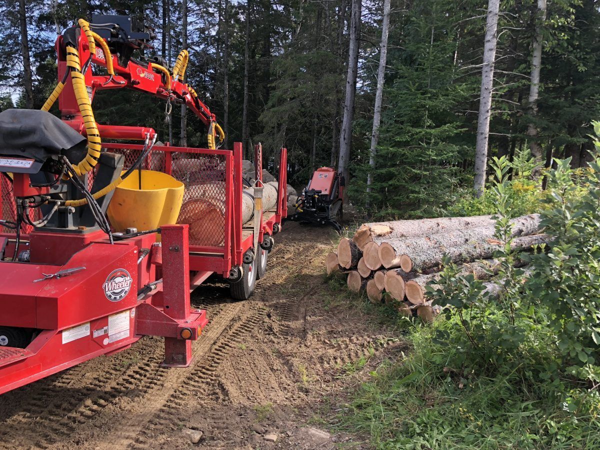 Un camion forestier rouge charge des grumes sur sa remorque à côté d'un tas de grumes coupées dans une forêt.