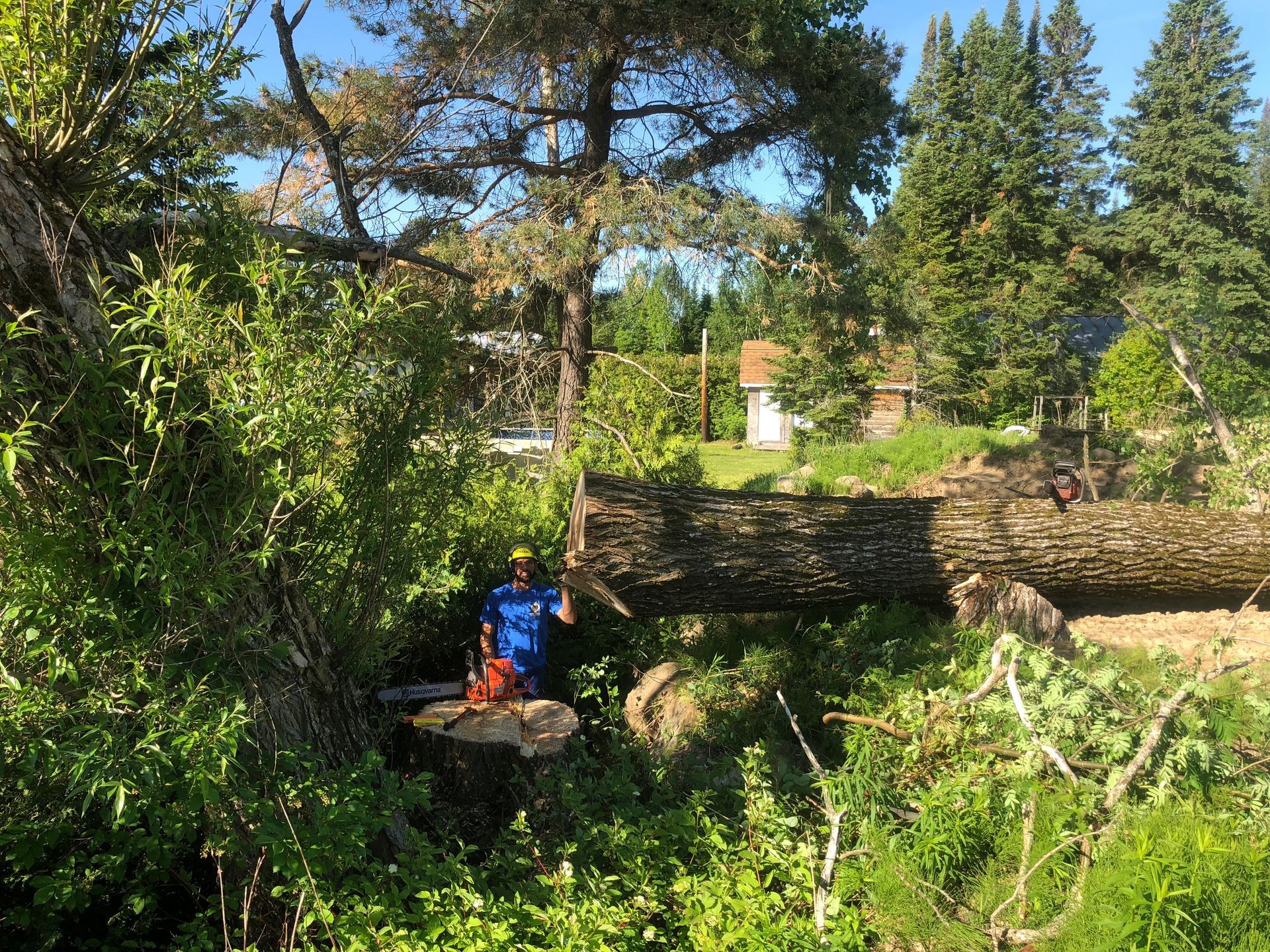 Une personne utilisant une tronçonneuse pour couper un arbre tombé, avec en arrière-plan une zone résidentielle boisée.
