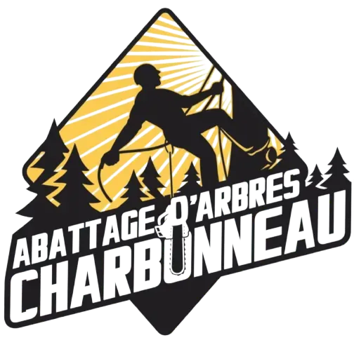 Logo : Silhouette d'arboriste coupant un arbre ; or et noir ; texte 