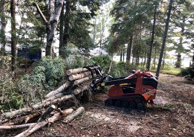 Une petite chargeuse compacte transportant des grumes dans une zone boisée.