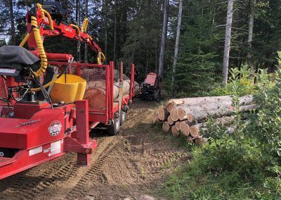 Un engin forestier charge des grumes sur une remorque en forêt. Machine rouge avec des grumes au sol à proximité.