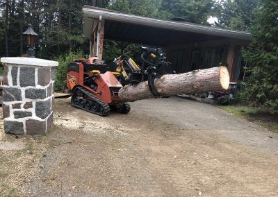 Mini-pelle avec un bras grappin soulevant une grosse bûche à l'extérieur d'un hangar.