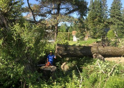 Une personne coupe un tronc d'arbre tombé avec une tronçonneuse à l'extérieur, entourée de verdure.
