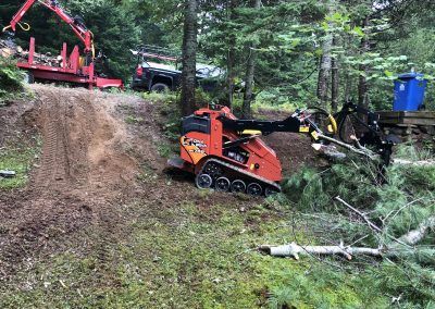 Petite chargeuse à chenilles orange déblayant des branches dans une forêt ; un camion rouge et une chargeuse à grumes sont visibles.