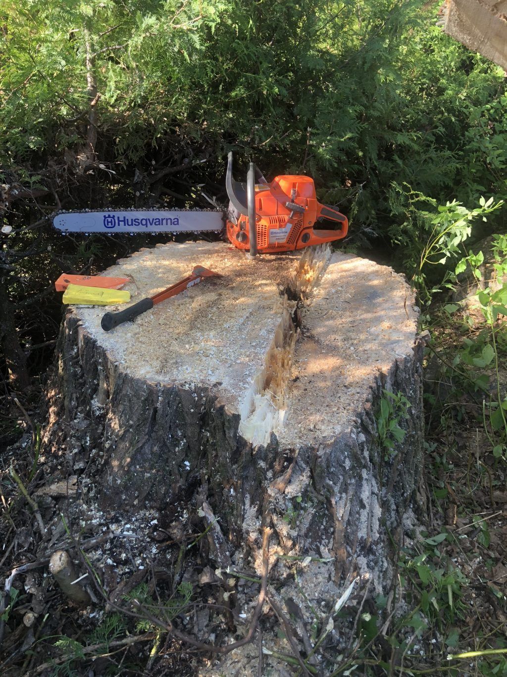 Une tronçonneuse, une hache et des cales au sommet d'une souche d'arbre fraîchement coupée, à l'extérieur.