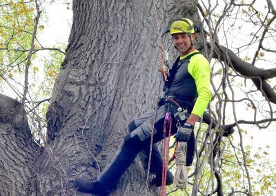 Un arboriste grimpe à un grand arbre, équipé d'un équipement de sécurité. Il sourit. Dehors, à la lumière du jour.
