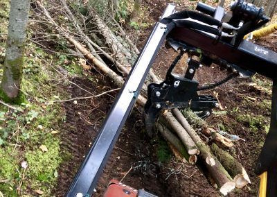 Un bras mécanique tenant un paquet de bûches coupées dans un environnement forestier.