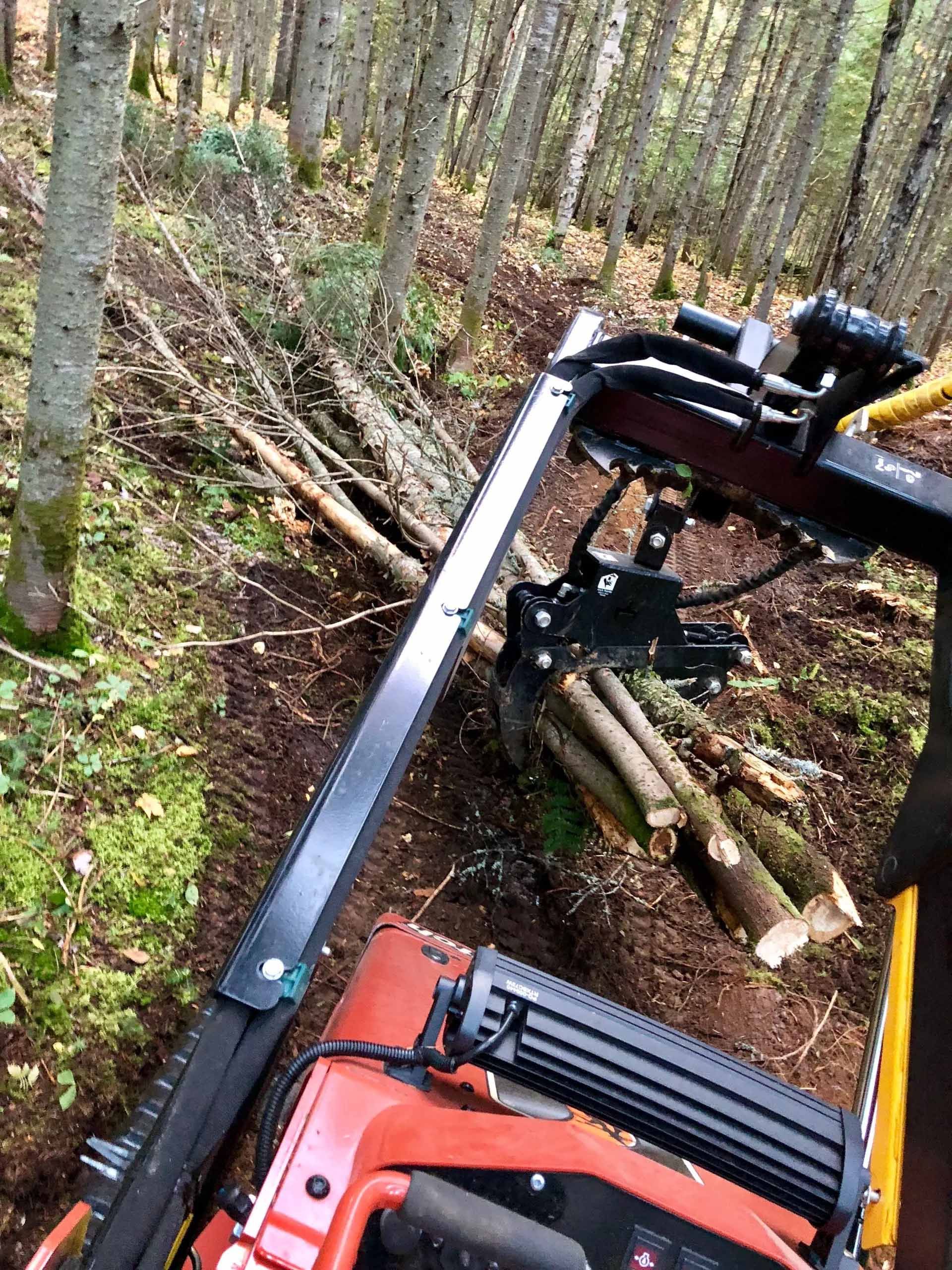 Le bras d'une machine forestière tenant des grumes dans une forêt. Le sol est bruni par les branches tombées.
