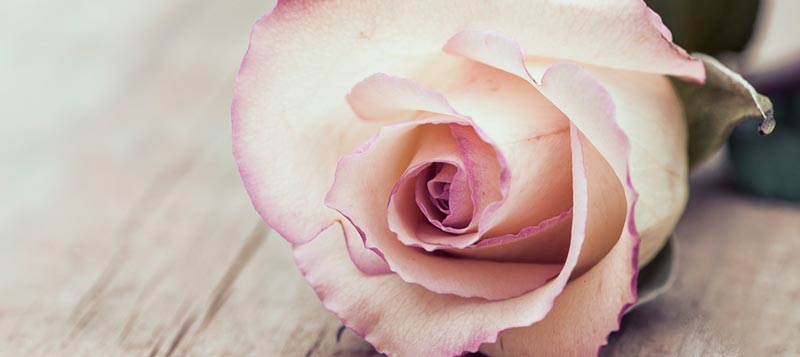 will and testament papers