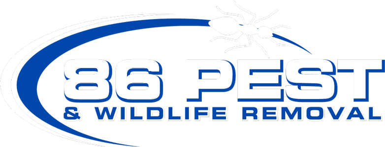 The logo for 36 pest and wildlife removal is blue and white.