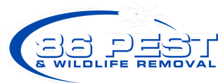 The logo for 36 pest and wildlife removal is blue and white.