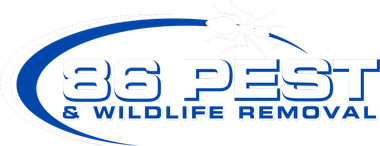 The logo for 36 pest and wildlife removal is blue and white.